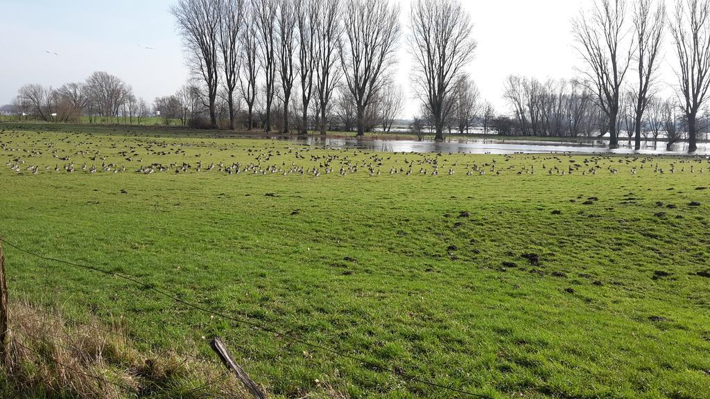 Ferienwohnung Eulenturm Xanten Buitenkant foto